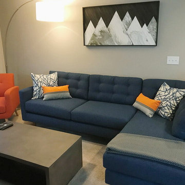 Denver E-design Loft Space