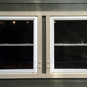 Window Protection