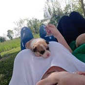 Cinzia Bizzocchi's photo