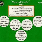 Amira Elfiky's photo