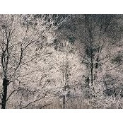 Erin Richardson's photo