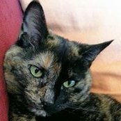 Sheryl Smith's photo