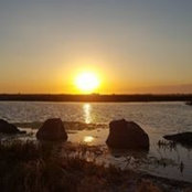 Fabiana Grimaldi's photo