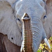 Sherri Harvey's photo