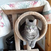 Eileen Berry's photo