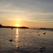 Sonia Mathew's photo