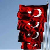 Foto de TC Aslı Abalıoğlu
