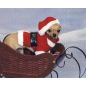 Beverly Garblik's photo