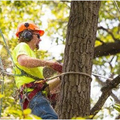 Pegram Tree Service