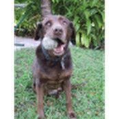 Penny's photo