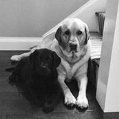Meggin Hunt's photo