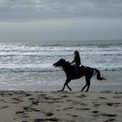 Joan Rossi's photo