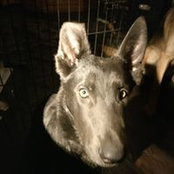 Jane Eastman's photo