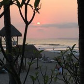 Janette Bolin's photo