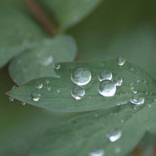 Sue Cornette's photo