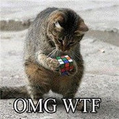 Elaine Chosky's photo