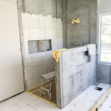 Master Bathroom and Home Remodel