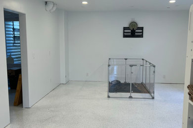 Ultimate Dog Basement