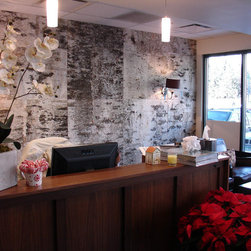 Bark House&reg; Veneer Laminates - White Birch Laminate Panel - Wallpaper