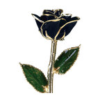 Real Rose Dipped, 24k Gold and Preserved, Lacquer, Black