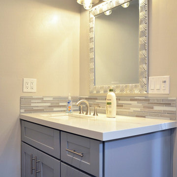 Transitional Kitchen + Bathrooms + Doggy Bath Station