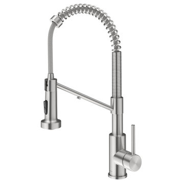 Bolden Commercial Style 2-Function Pull-Down 1-Handle 1-Hole Kitchen Faucet, Spot Free Stainless Steel (Filter Kitchen Faucet)