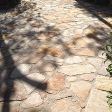 garden landscape