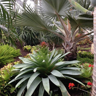 Inspiration for a tropical home design remodel in Tampa