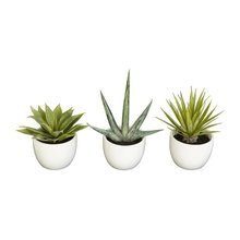 Decore