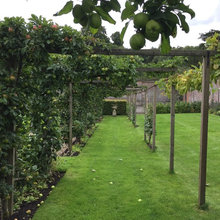 Pergola für Obst