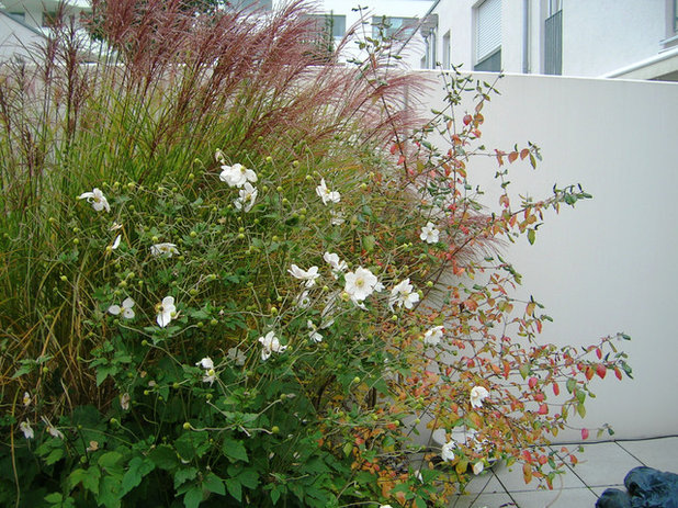 Gartenbesuch: Ein grüner Hinterhof-Garten zum Entspannen – fast ohne