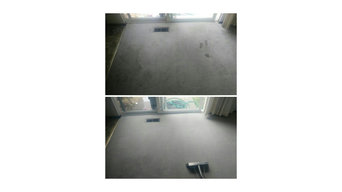 Best 15 Carpet Cleaners In Kirkland Wa Houzz