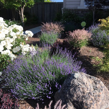 Northwest Petaluma Garden