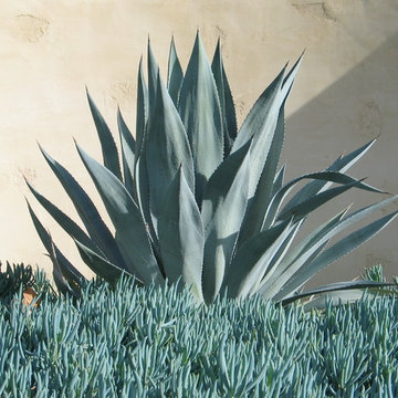 examples of work