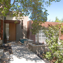 Landscape Ideas