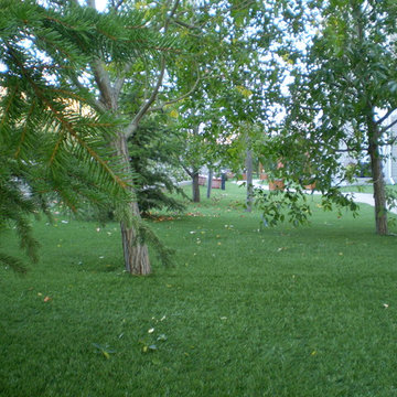 Commercial Yards