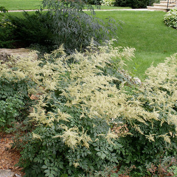 Shade to Sun - A Journey of a Perennial Garden