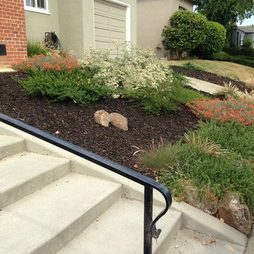 San Mateo Hillside Nativescape