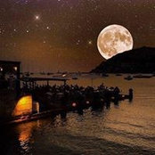Jill Heyne's photo