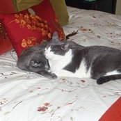 Marcy Sless's photo