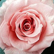 Ethel Brunty's photo