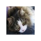 Janet Haring's photo