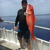 Thomas Higgins's photo