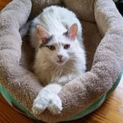 Pamela Eckelbarger's photo