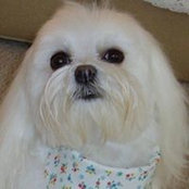 Carol Patnode's photo