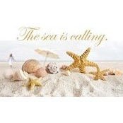Pam Bily's photo