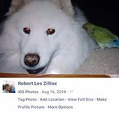 Robert Zilliox's photo