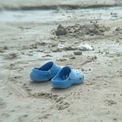 Heather Schneider-Strassburg's photo