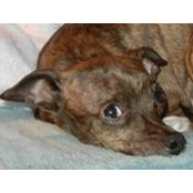 Aaron Howard's photo