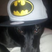 Gibson Goulart's photo